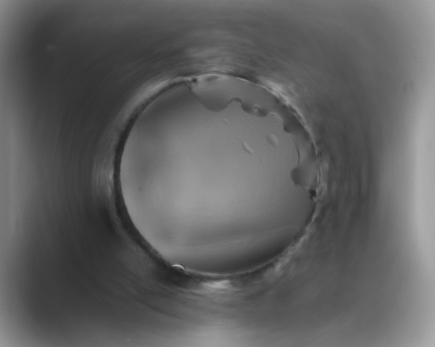 X0000089710054200707051709