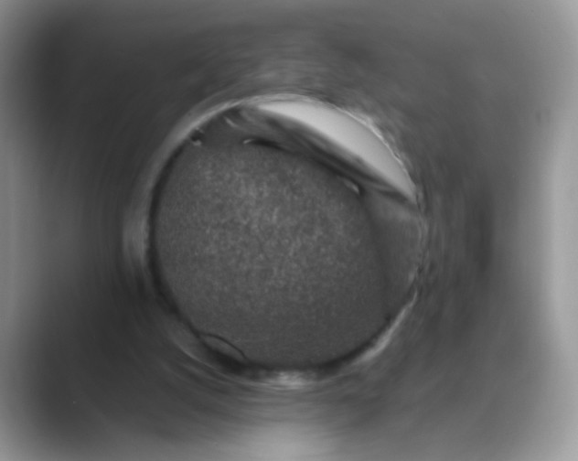 X0000089710056200707051709