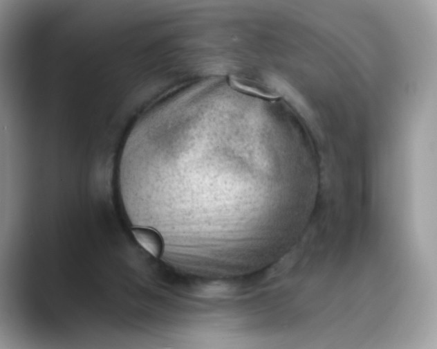 X0000089710058200707051709