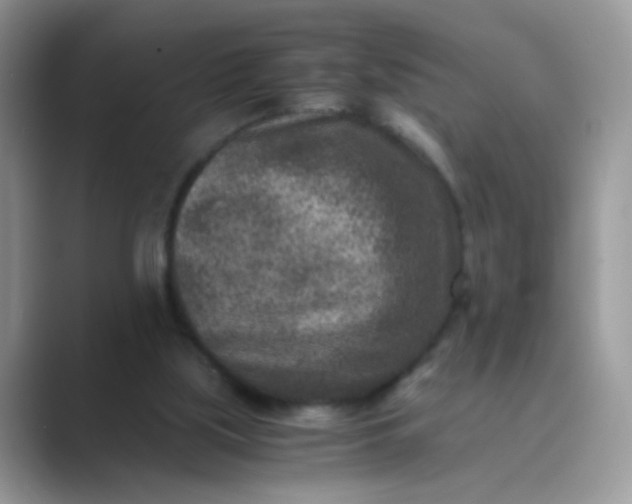 X0000089710059200707051709