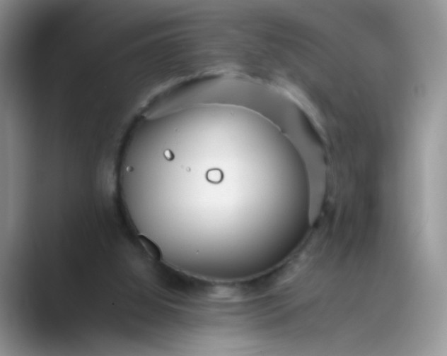 X0000089710060200707051709