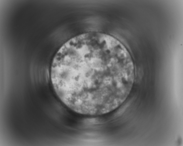 X0000089710061200707051709