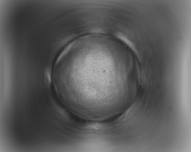 X0000089710062200707051709