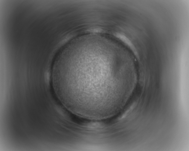 X0000089710063200707051709