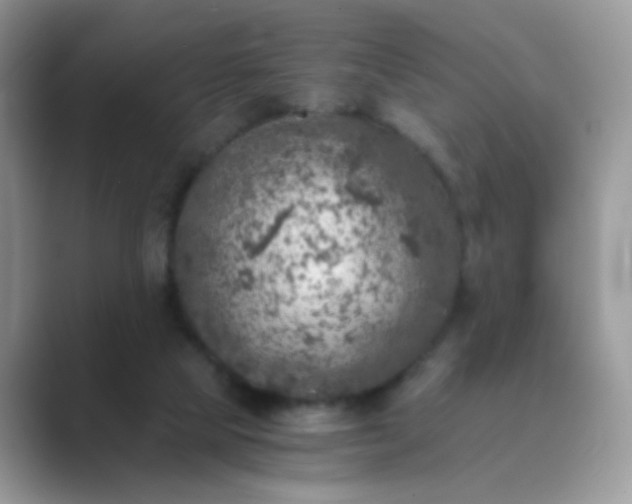 X0000089710065200707051709