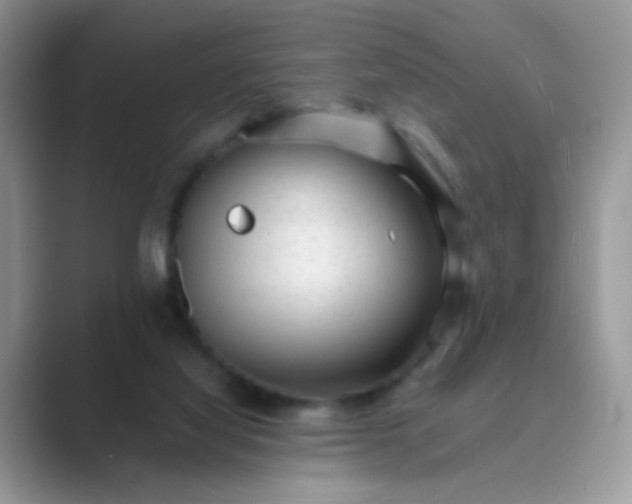 X0000089710068200707051709