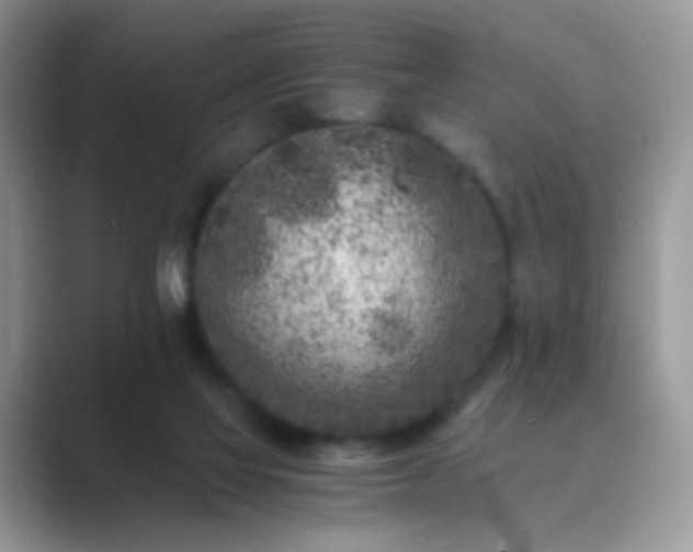 X0000089710069200707051709