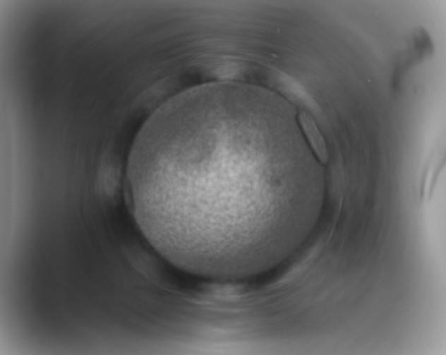 X0000089710073200707051709