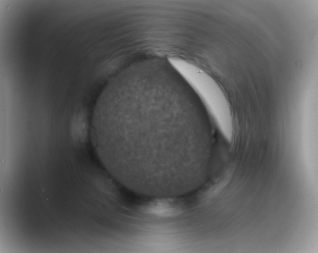 X0000089710080200707051709