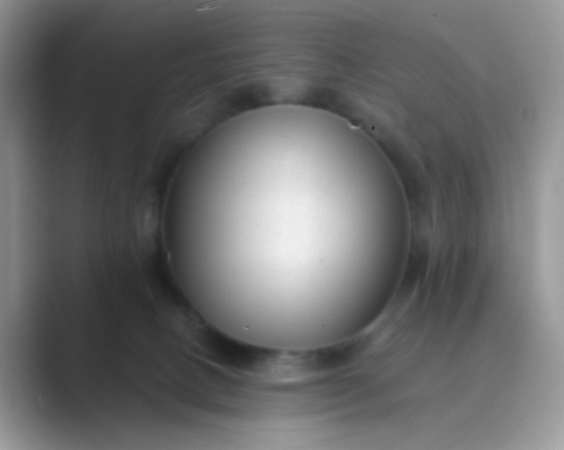 X0000089710082200707051709