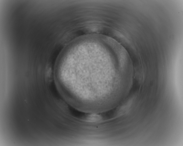 X0000089710087200707051709