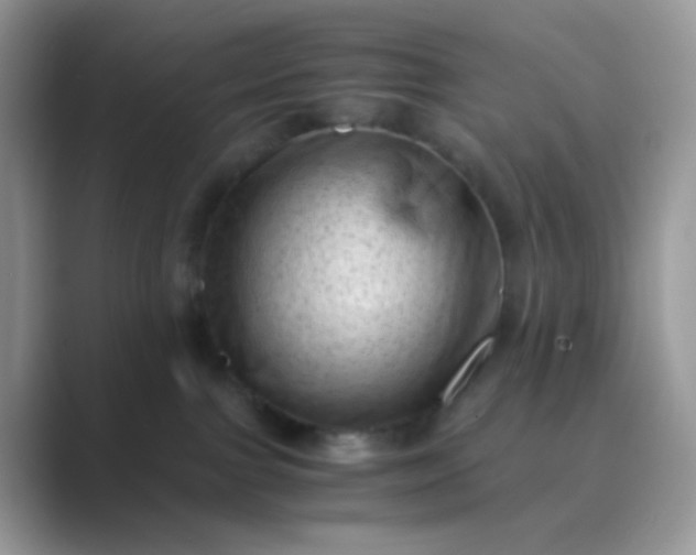 X0000089710091200707051709