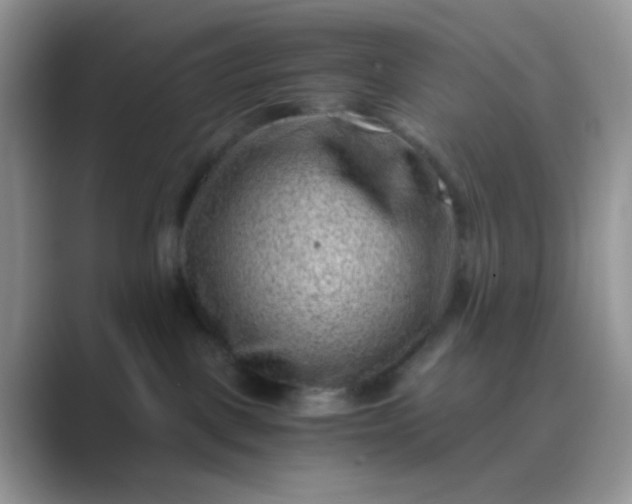 X0000089710093200707051709