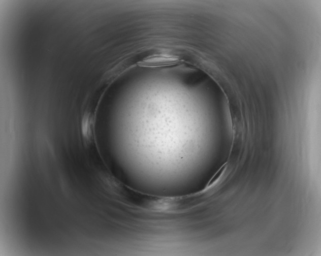 X0000089710094200707051709