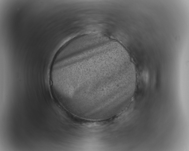 X0000089710100200707051709