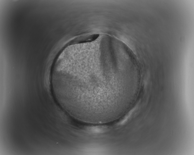 X0000089710103200707051709