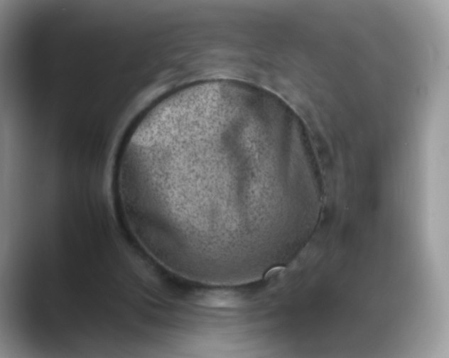 X0000089710104200707051709