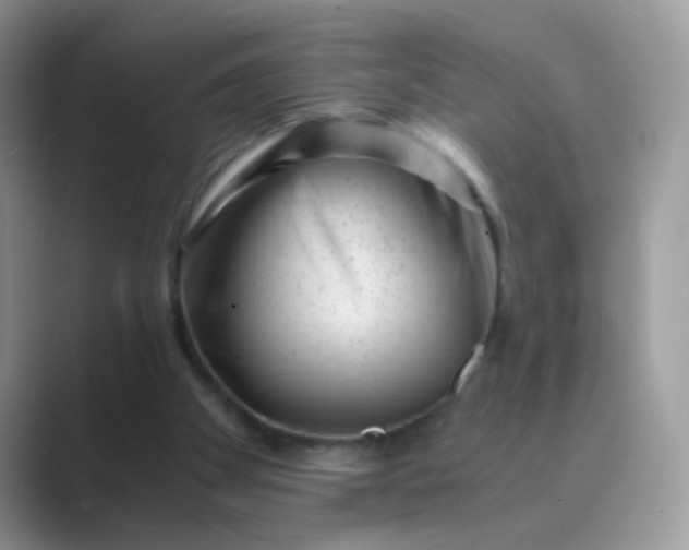 X0000089710105200707051709