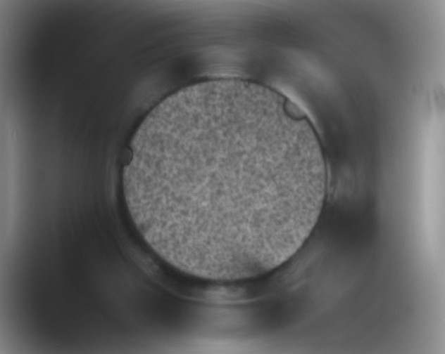 X0000089710109200707051709