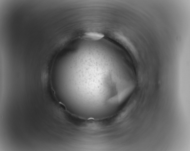 X0000089710113200707051709