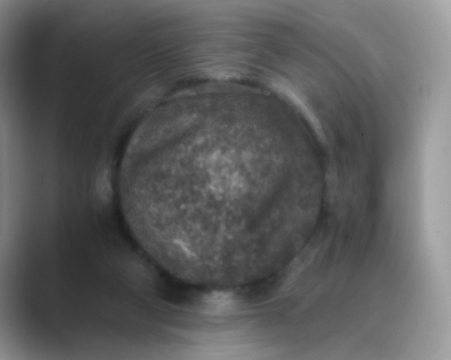 X0000089710114200707051709