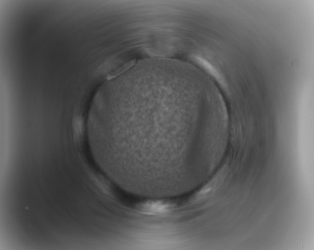 X0000089710117200707051708