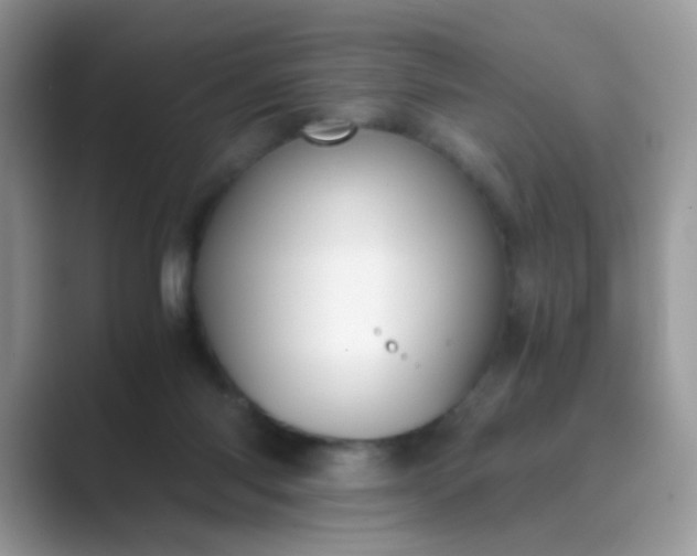 X0000089710118200707051708