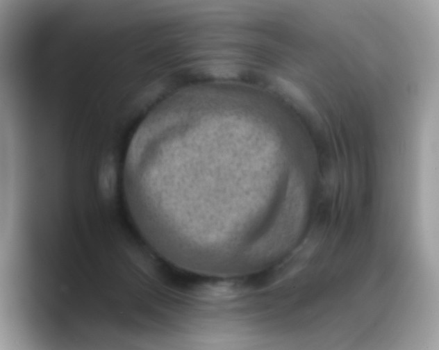 X0000089710120200707051708