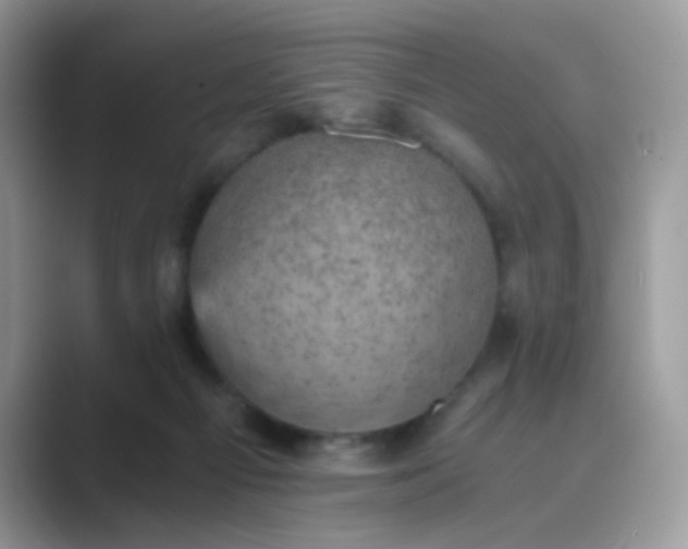 X0000089710121200707051708