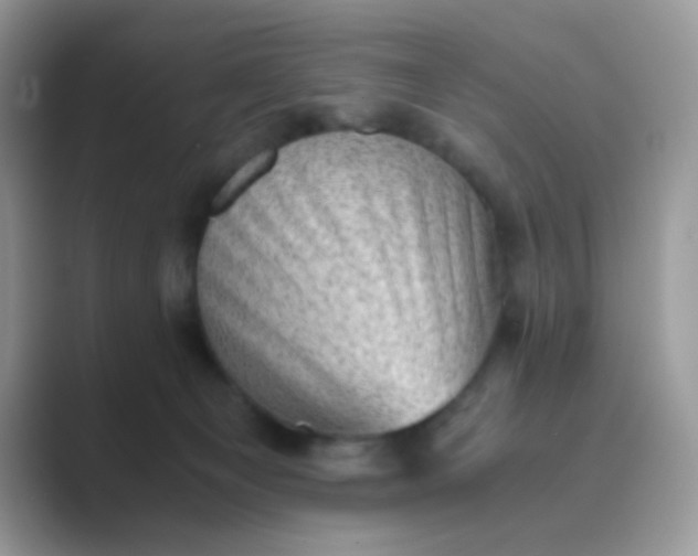 X0000089710129200707051708