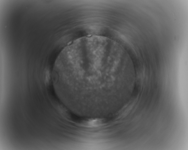 X0000089710130200707051708