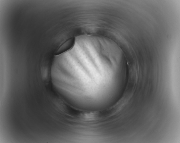 X0000089710134200707051708