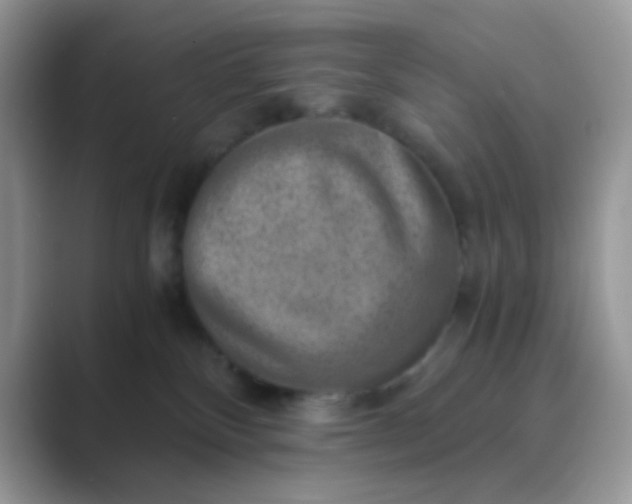 X0000089710136200707051708