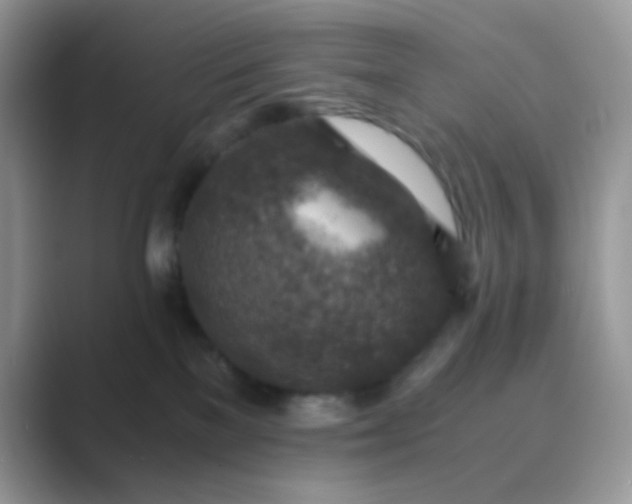 X0000089710137200707051708