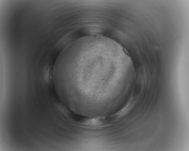 X0000089710140200707051708