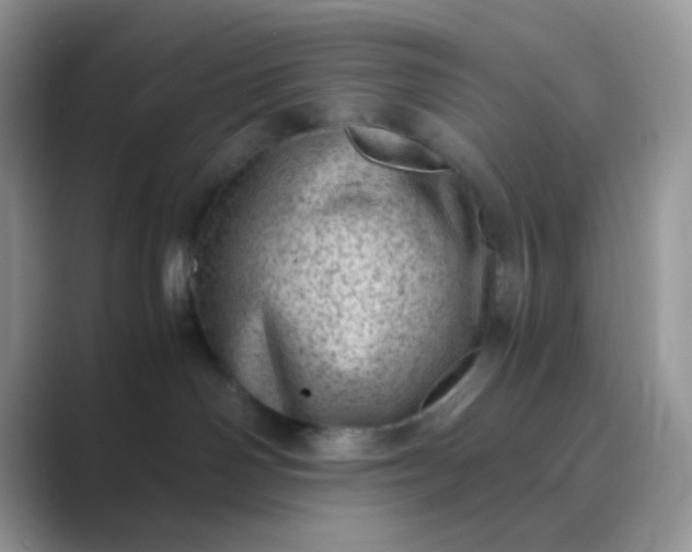 X0000089710142200707051708