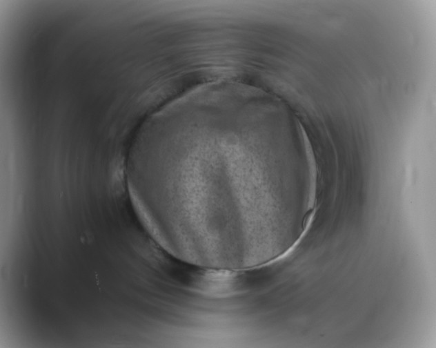 X0000089710144200707051708