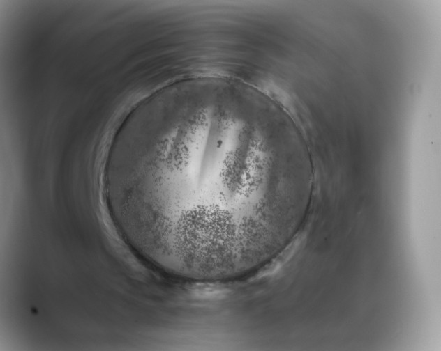 X0000089710145200707051708