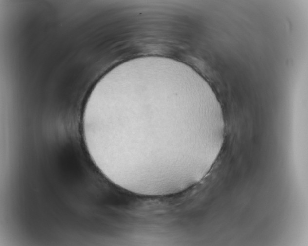 X0000089710146200707051708