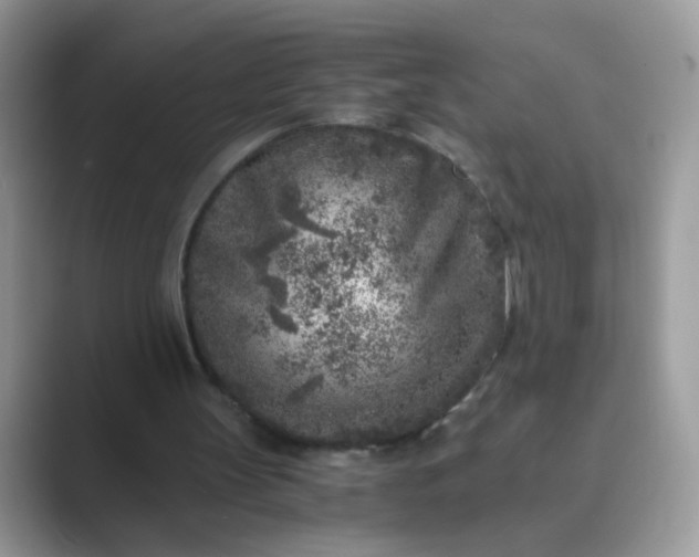 X0000089710147200707051708