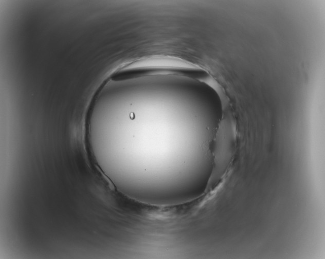 X0000089710148200707051708