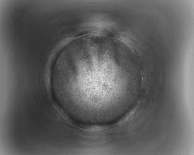 X0000089710149200707051708