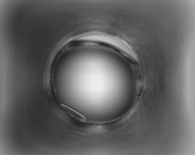 X0000089710152200707051708