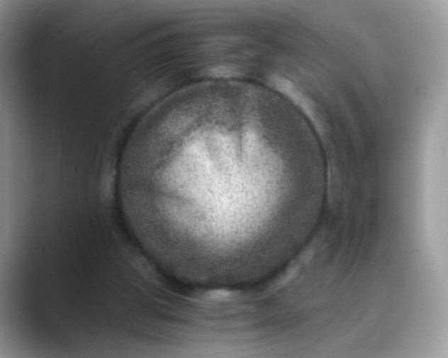 X0000089710153200707051708