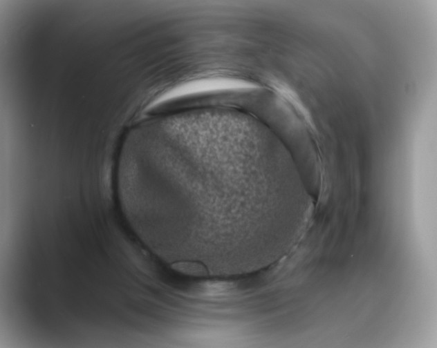 X0000089710154200707051708