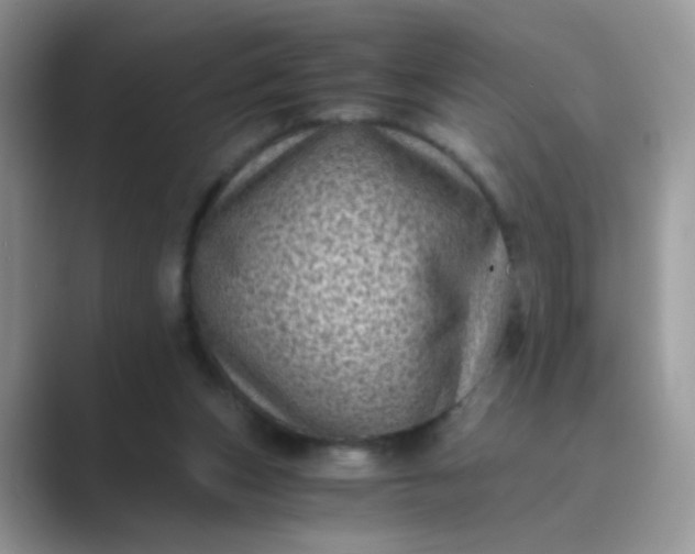 X0000089710159200707051708