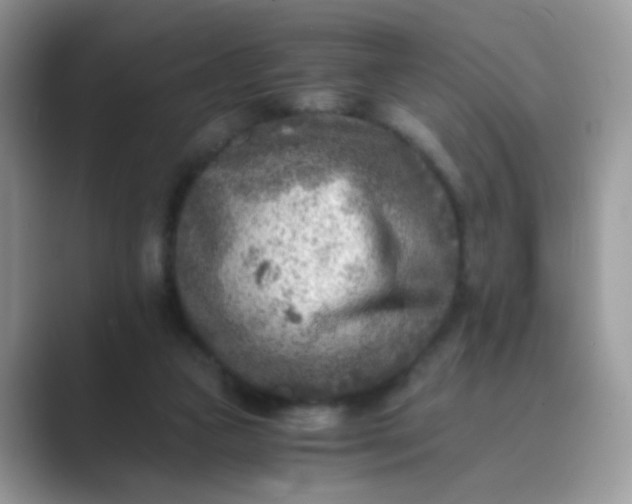 X0000089710161200707051708