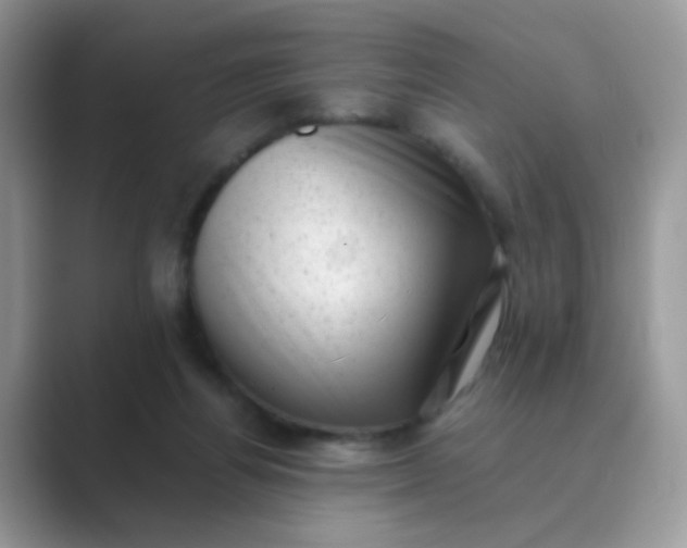 X0000089710164200707051708