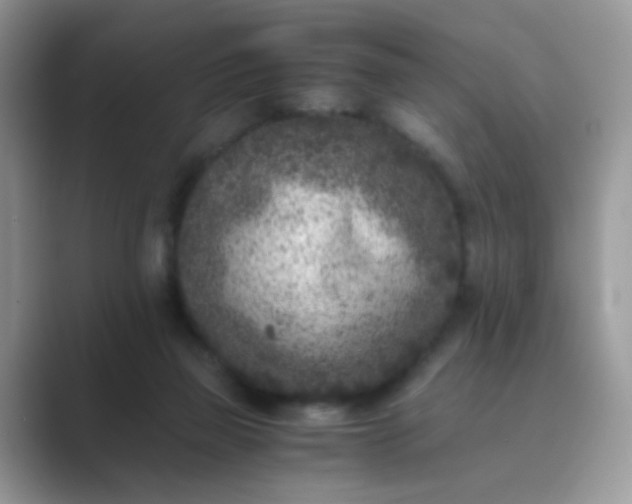 X0000089710165200707051708