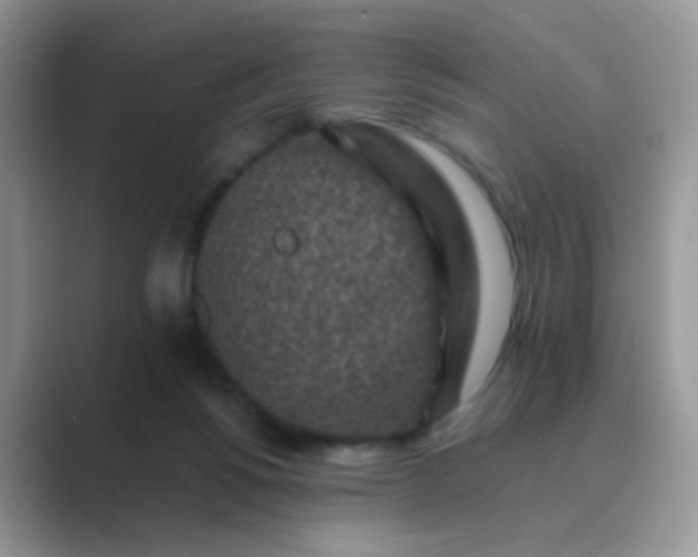 X0000089710168200707051708